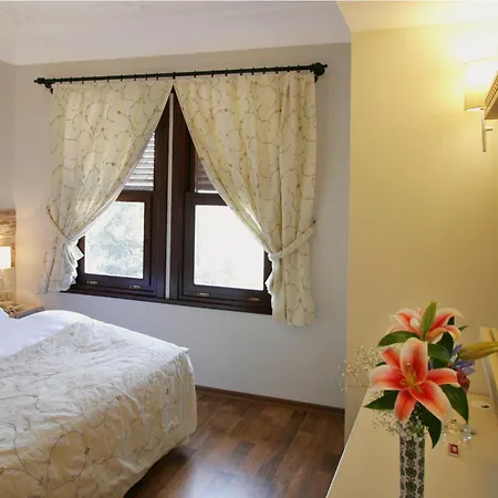 Hotel Aspen Kaleici Antalya